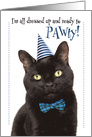 Happy Birthday For Anyone Cute Cat in Party Hat Humor card