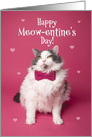 Happy Valentine’s Day From The Cat Humor card