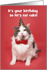 Happy Birthday For Anyone Fat Cat in Party Hat Humor card