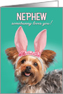 Happy Easter Nephew Cute Yorkie Dog in Bunny Ears Humor card