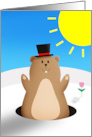 Happy Groundhog Day For Anyone Cute Groundhog With Shadow Illustration card