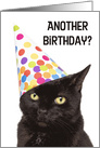 Happy Birthday For Anyone Sarcastic Cat in Party Hat Humor card