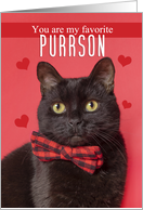 Happy Valentine’s Day Favorite PURRson Cute Cat in Bow Tie Humor card