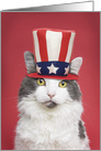 Happy Presidents’ Day For Anyone Cute Patriotic Cat in Hat Humor card
