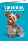 Happy Valentine’s Day Funny Yorkie With Cartoon Smile Humor card