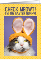 Happy Easter For Anyone Funny Cat in Bunny Ears Humor card