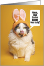 Happy Easter For Anyone Cat in Bunny Ears Licking Face Humor card