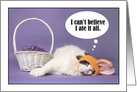 Happy Easter For Anyone Cat in Bunny Ears With Empty Easter Basket card
