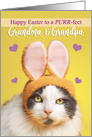 Happy Easter Grandma and Grandpa Cute Cat in Bunny Ears Humor card