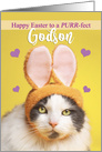 Happy Easter Godson Cute Cat in Bunny Ears Humor card