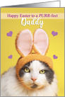 Happy Easter Daddy Cute Cat in Bunny Ears Humor card