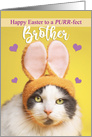 Happy Easter Brother Cute Cat in Bunny Ears Humor card