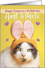 Happy Easter Aunt and Uncle Cute Cat in Bunny Ears Humor card