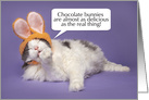 Happy Easter For Anyone Cute Cat in Buny Ears Licking Paw Humor card