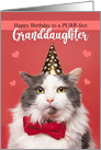 Happy Birthday Day Granddaughter Cute Black Cat in Green Bow Tie card