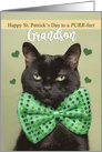 Happy St. Patrick’s Day Grandson Cute Black Cat in Green Bow Tie card