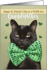 Happy St. Patrick’s Day Grandmother Cute Black Cat in Green Bow Tie card