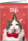 Happy Birthday Wife Cute Cat in Party Hat and Bow Tie Humor card