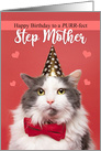 Happy Birthday Step Mother Cute Cat in Party Hat and Bow Tie Humor card