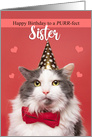 Happy Birthday Sister Cute Cat in Party Hat and Bow Tie Humor card