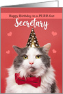 Happy Birthday Secretary Cute Cat in Party Hat and Bow Tie Humor card