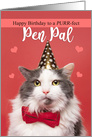 Happy Birthday Pen Pal Cute Cat in Party Hat and Bow Tie Humor card