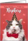 Happy Birthday Nephew Cute Cat in Party Hat and Bow Tie Humor card