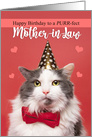 Happy Birthday Mother-in-Law Cute Cat in Party Hat and Bow Tie Humor card