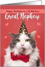 Happy Birthday Great Nephew Cute Cat in Party Hat and Bow Tie Humor card