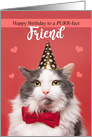 Happy Birthday Friend Cat in Party Hat and Bow Tie Humor card