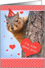 Happy Birthday Love Cute Squirrel in Party Hat with Hearts Humor card