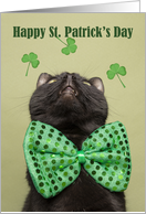 Happy St. Patrick’s For Anyone Day Cat in Bow Tie Looking Up Humor card
