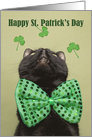 Happy St. Patrick’s For Anyone Day Cat in Bow Tie Looking Up Humor card