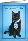 Happy Admin Pro Day Cute Cat in Tie Humor card