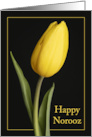 Happy Norooz Persian New Year Pretty Yellow Tulip Photograph card
