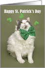 Happy St. Patrick’s Day Cute For Anyone Fat Cat in Green Bow Tie Humor card