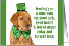 Happy St. Patrick’s Day For Anyone Cute Lab Puppy card
