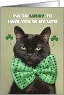 Happy St. Patrick’s Day Lucky Black Cat Humor card