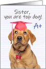 Congratulations Graduate Sister Cute Puppy in Grad Hat Humor card