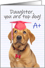 Congratulations Graduate Daughter Cute Puppy in Grad Hat Humor card