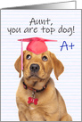 Congratulations Graduate Aunt Cute Puppy in Grad Hat Humor card