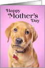Happy Mother’s Day Cute Puppy Humor card