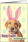 Happy Easter Granddaughter Cute Puppy in Bunny Ears card