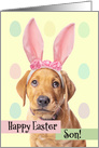 Happy Easter Son Cute Puppy in Bunny Ears Humor card