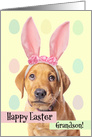 Happy Easter Grandson Cute Puppy in Bunny Ears Humor card