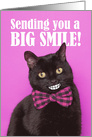 Thinking of You Big Smile Funny Cat Coronavirus Pandemic card