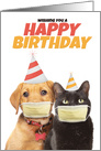 Happy Birthday For Anyone Cat and Dog in Face Mask Coronavirus Humor card