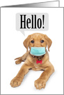 Thinking of You Cute Puppy in Face Mask Coronavirus Humor card