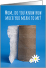 Happy Mother’s Day Last Piece of Toilet Paper Coronavirus Humor card