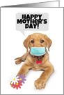 Hapy Mother’s Day Cute Puppy Coronavirus Social Distancing Humor card